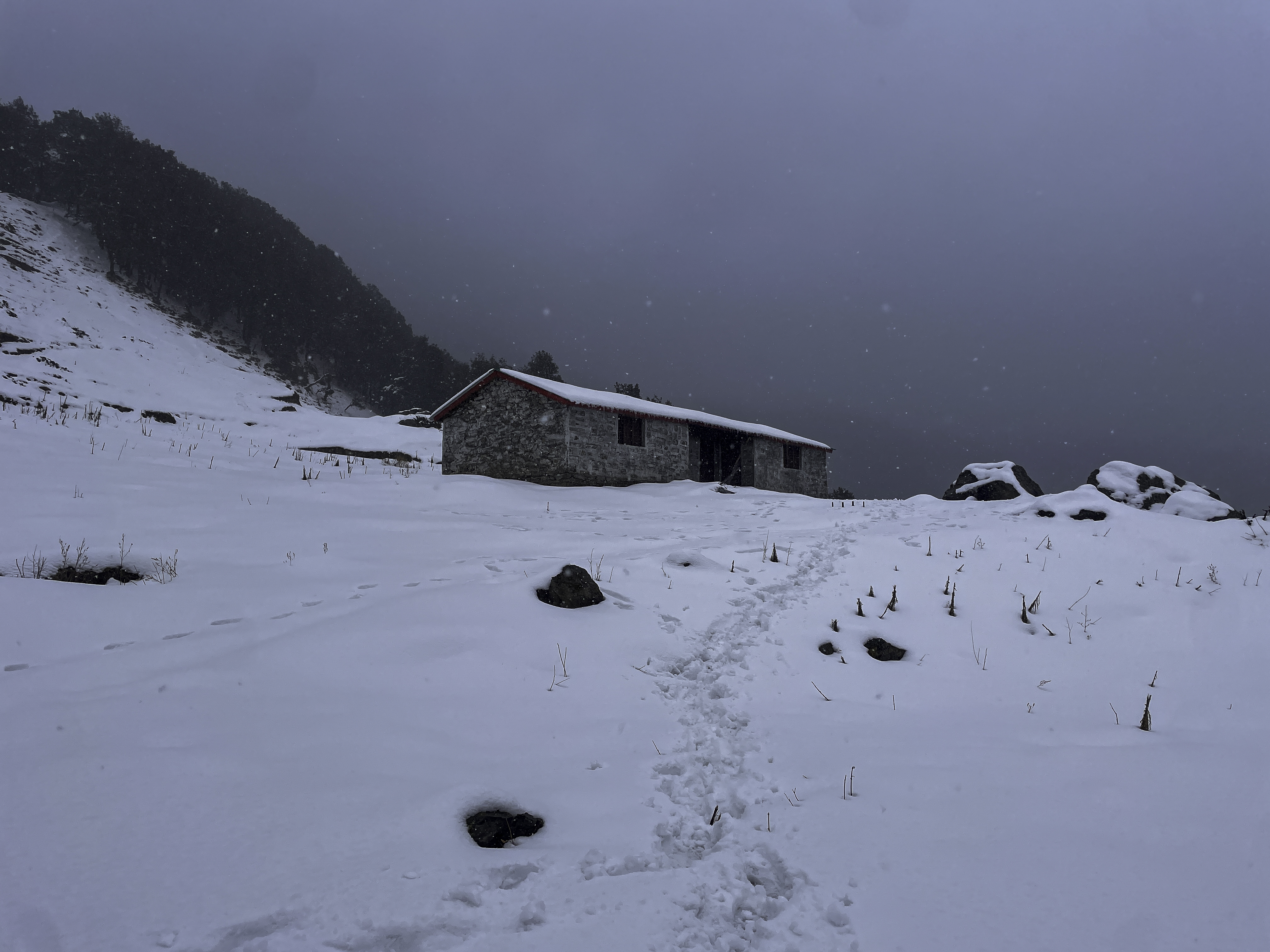 Nagtibba Summit